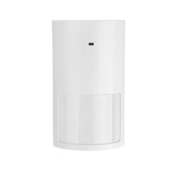 PAX Wireless PIR Digital Detector
